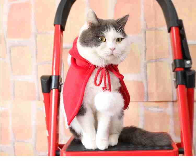 New Year Christmas Teddy pet cat and dog fleece red hood cape costume on sale